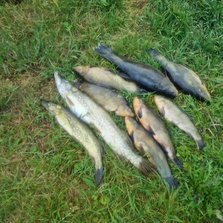 Eko-Fish Villa Miastko Kültér fotó