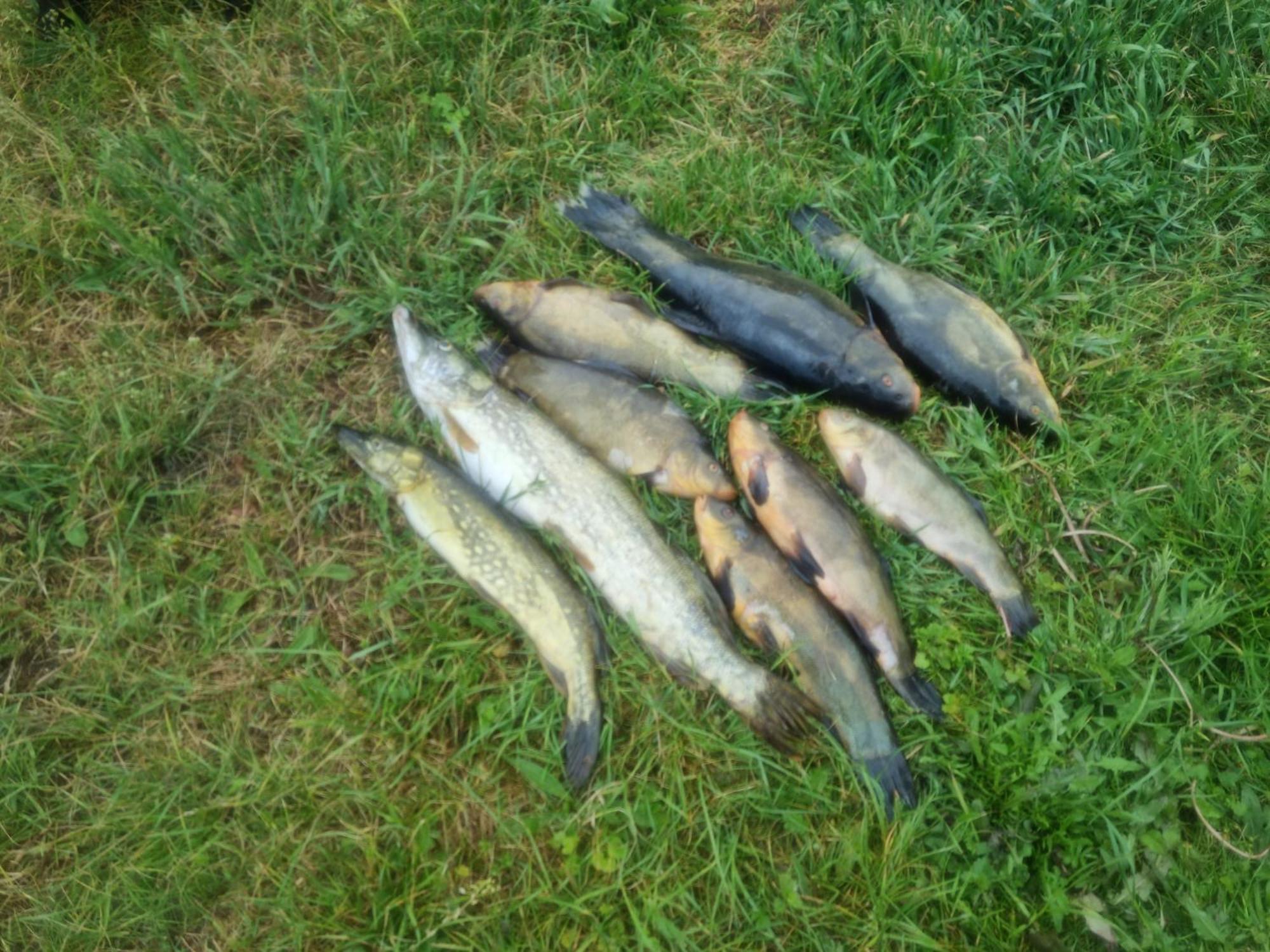 Eko-Fish Villa Miastko Kültér fotó