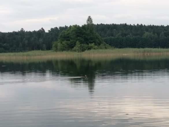 Eko-Fish Villa Miastko Kültér fotó