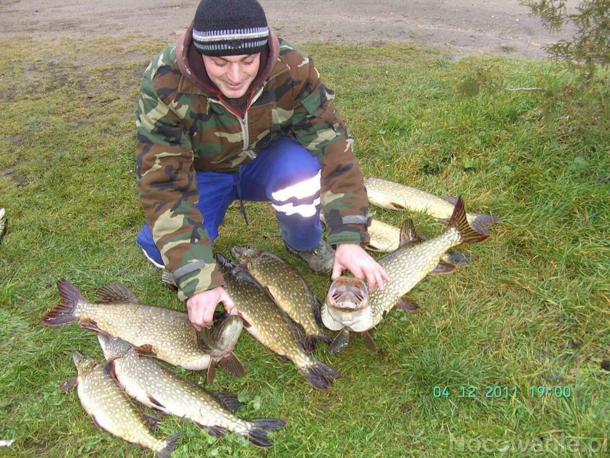 Eko-Fish Villa Miastko Kültér fotó