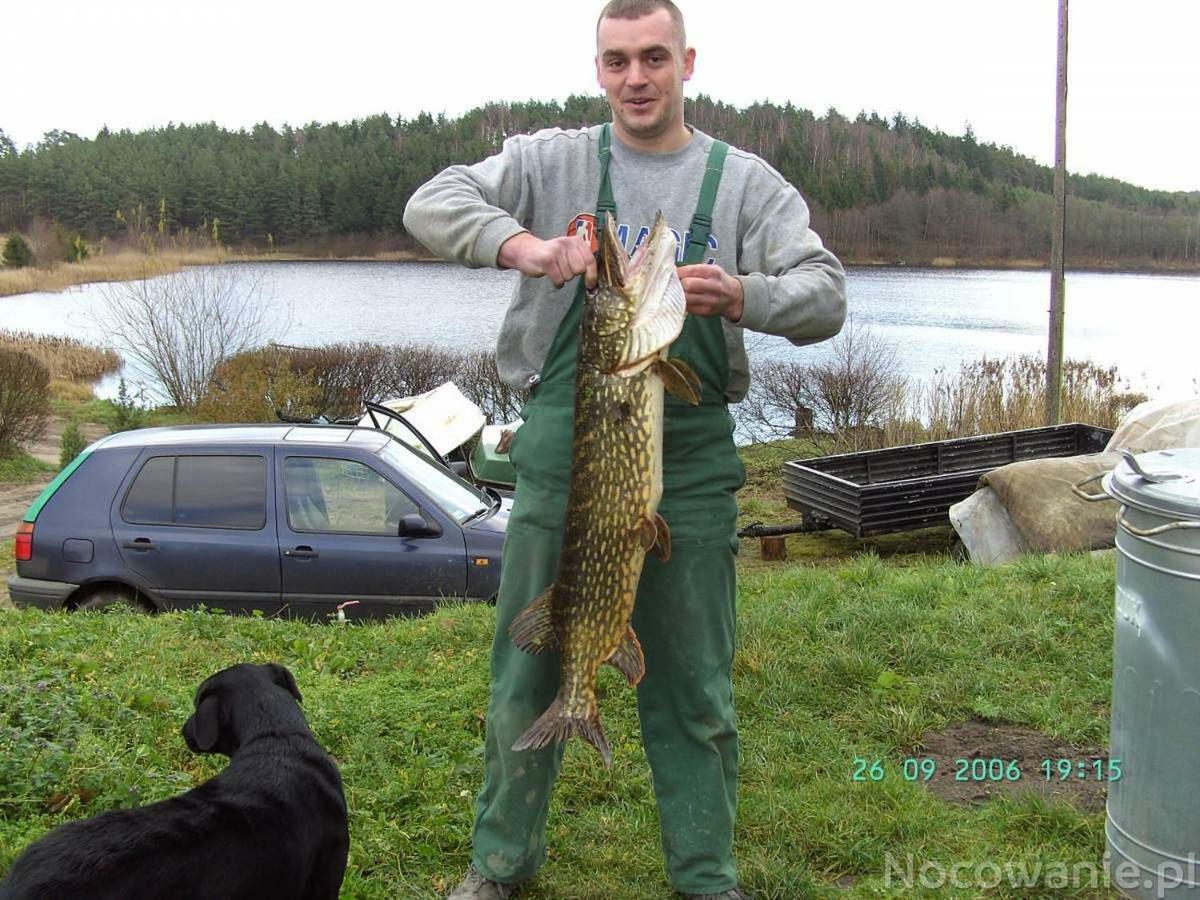 Eko-Fish Villa Miastko Kültér fotó